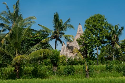 Bale bale roofing, used in Bali, Indonesia.