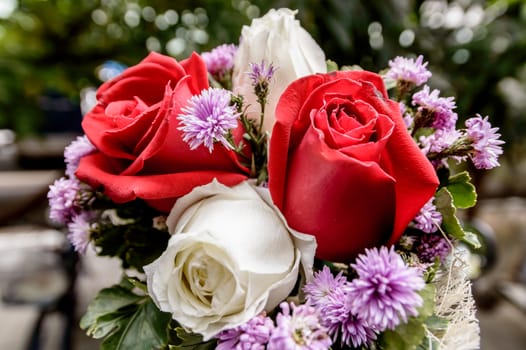 Closeup of a beautiful roses