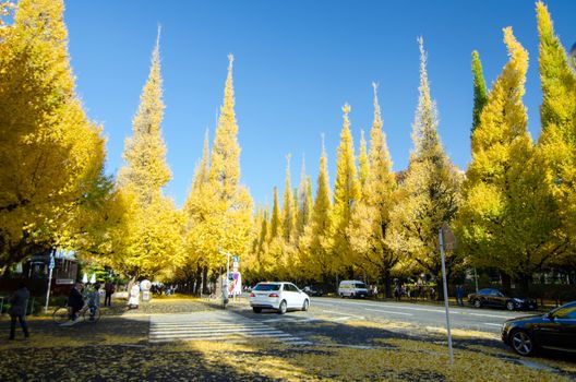 Tokyo, Japan - November 26, 2013: People visit Ginkgo Tree Avenue heading down to the Meiji Memorial Picture Gallery on November 26, 2013 in Tokyo. Meiji Jingu Gaien is one of the best places in Tokyo to see the stunning red, orange and yellow autumn leaves.