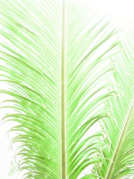 Palm leaf abstract in vertical format, digital painting.