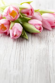 Tulips on a wooden surface. Studio photography.