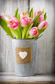 Pink tulips in a bucket. Home Decor.