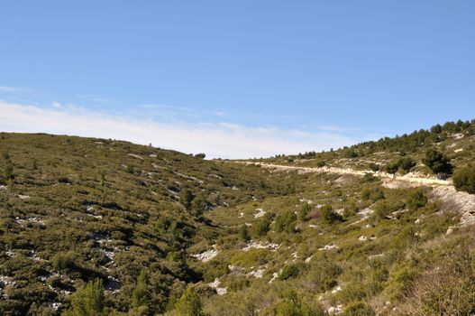 France, Bouches du Rhone, Cassis,(Road of the Ridges)