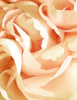 Abstract flower painting. Salmon pink rose in extreme closeup, digital painting.