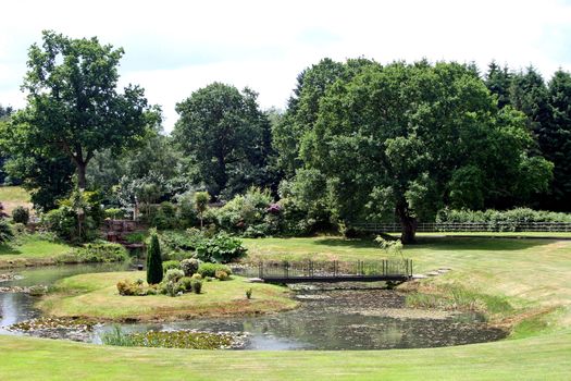 Gardens with a pond, bridge and trees