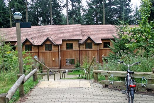 Houses made of wood in a forest