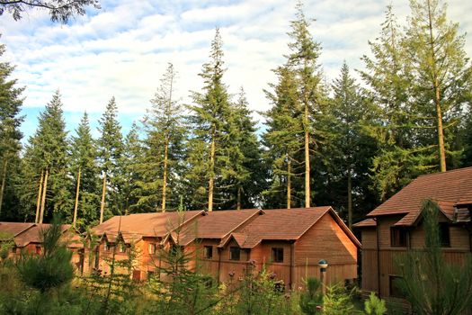 Houses made of wood in a forest