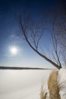 On the Ob river in a Sunny day .