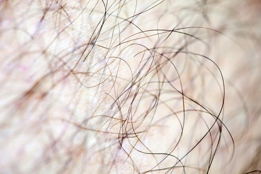 Male human hair close up