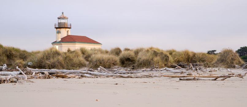 Driftwood gathers high on the beach viewed at high low tide