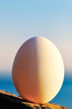 Close-up of an egg on the seashore