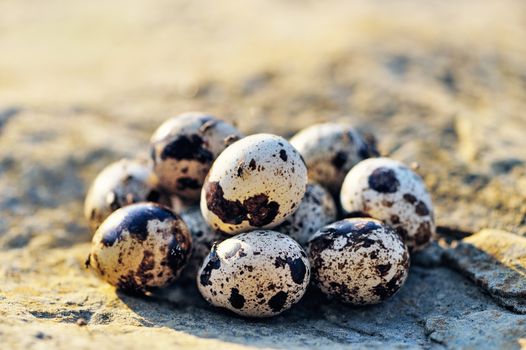 Group of quail eggs on the stone surface