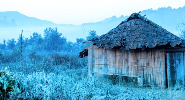 The Abandon cottage on abandon Farm Field with Cooler Filter.