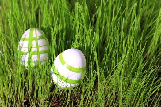 easter eggs green and white in meadow 