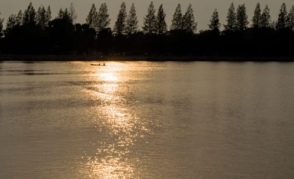 The Silhouette Pine Tree and Reflection Sunbeam on River.