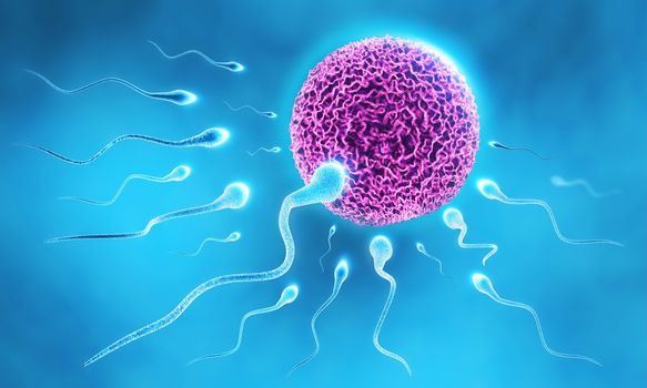 3d illustration of sperm running for the egg