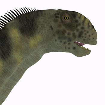 Camarasaurus was a herbivorous sauropod dinosaur that lived during the Jurassic Era of North America.