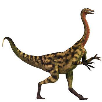 Deinocheirus was an ostrich dinosaur that lived in the Late Cretaceous Era of Mongolia.