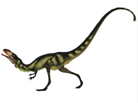 Dilong was a small carnivorous dinosaur that lived in the Cretaceous Era of China.