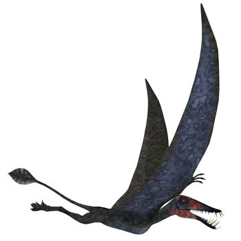 Dorygnathus was a carnivorous Pterosaur that lived in the Jurassic Era of Europe.