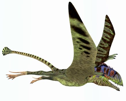 Peteinosaurus was a small carnivorous pterosaur from the Triassic Period and was found near Cene, Italy. 