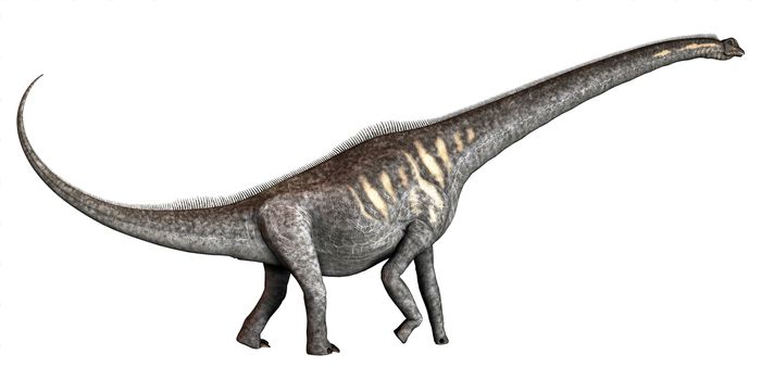 Sauroposeidon was a herbivorous sauropod dinosaur that lived in the Cretaceous Period of Oklahoma in North America.