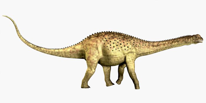 Uberabatitan was a herbivorous sauropod dinosaur that lived in the Cretaceous Period of Brazil.