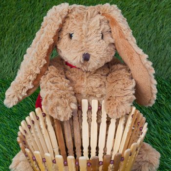 Rabbit, sit and holding empty basket on grass for happy easter eggs festival