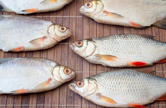 On a table fish hooked in the river prepared for culinary processing lies.