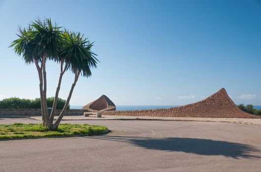 Sa Torre palms, Sa Torre, Mallorca, Balearic islands, Spain.