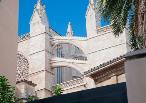 Gothic Cathedral detail. La Seu, Palma de Mallorca, Balearic islands, Spain.