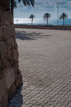 City view Palma de Mallorca, Balearic islands, Spain.