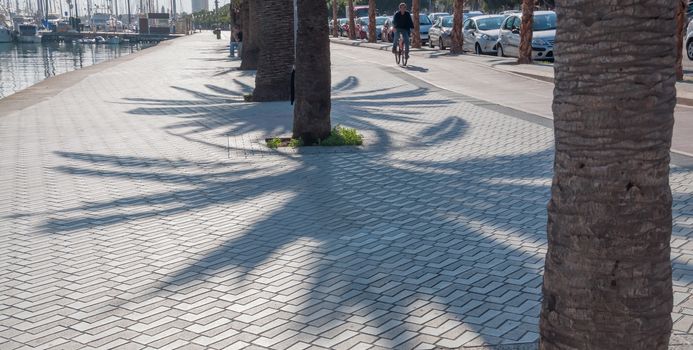 Sidewalk Palma harbor and palm shadows. Palma de Mallorca, Balearic islands, Spain.