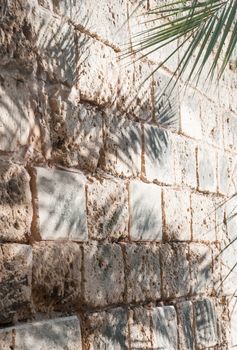 Wall with palm shadows. Details Palma, Palma de Mallorca, Balearic islands, Spain in November.