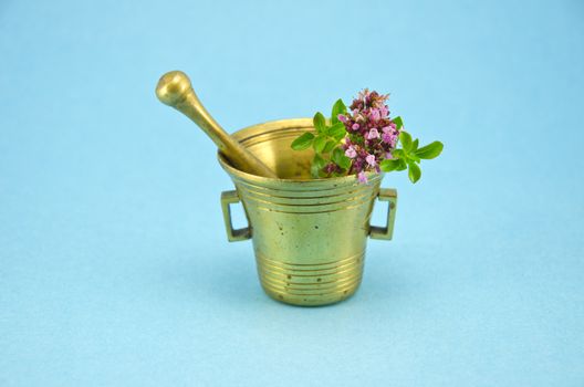 wild marjoram oregano herbs in old brass mortar on blue background