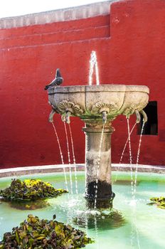 Santa Catalina monastery fountain in Arequipa with a pidgeon on it, Peru