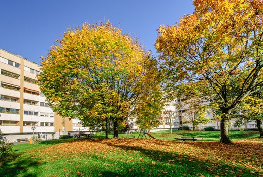 Park with autumn trees in a living block
