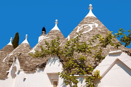 Alberobello was founded in the 15th century on land that was originally an oak forest in the province of Bari. A typical feature of Alberobello are the trulli, white dry-stone houses with conical roofs made of lapidary stones. The roofs of the trulli are embellished with decorations and pinnacles of various shapes, often symbolising religious signs or signs of the zodiac. In 1996, Unesco made the town of Alberobello a world heritage site.