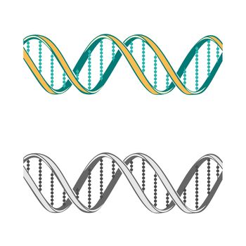 Set of two  DNA symbols on white background.  Illustration