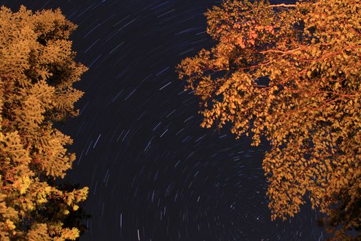 The Stars between two trees early fall