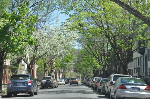 Streets of Albany, New York