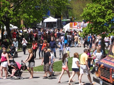 The 2014 Tulip Festival at Washington Park in Albany, New York State