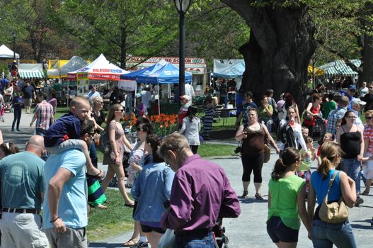 The 2014 Tulip Festival at Washington Park in Albany, New York State