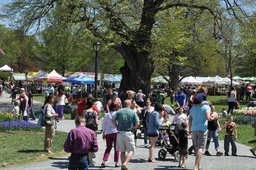 The 2014 Tulip Festival at Washington Park in Albany, New York State