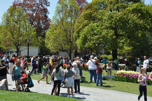 The 2014 Tulip Festival at Washington Park in Albany, New York State