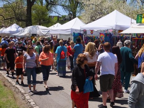 The 2014 Tulip Festival at Washington Park in Albany, New York State