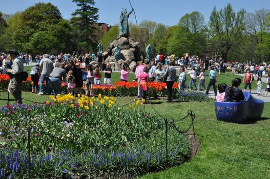 The 2014 Tulip Festival at Washington Park in Albany, New York State