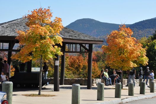 Fall Colors at the White Mountain National Forest in New Hampshire