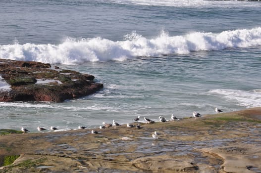 WindanSea Beach in La Jolla, California