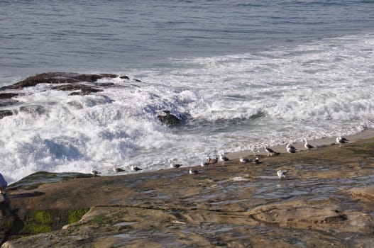 WindanSea Beach in La Jolla, California